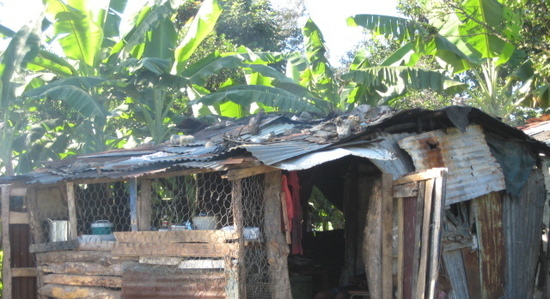 Alex Rodriguez and the Pink Elephant in the room