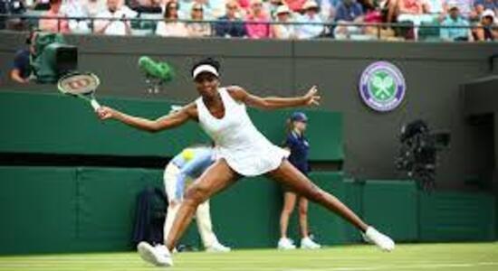Venus Williams, a Car Accident, and the Outrageous Police Response